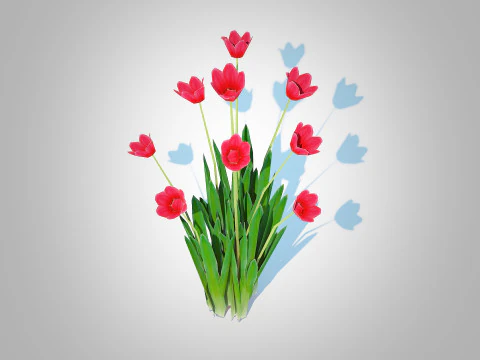 Tulipa - tulips Red 3D Model