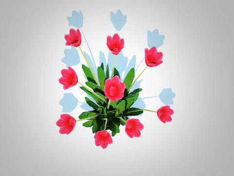 Tulipa - tulips Red 3D Model
