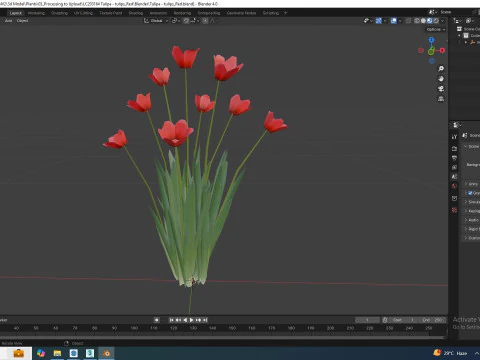Tulipa - tulips Red 3D Model