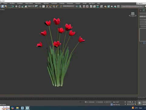 Tulipa - tulips Red 3D Model