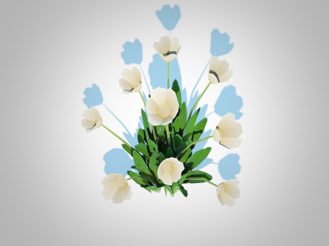 Tulipa - tulips White 3D 模型