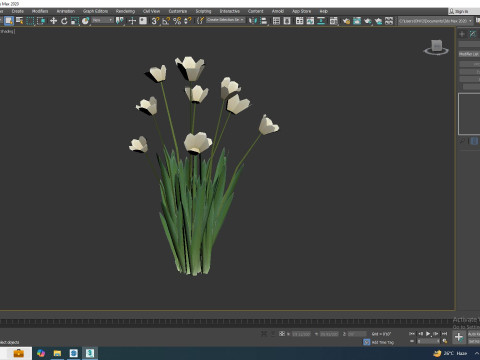Tulipa - tulips White 3D 模型