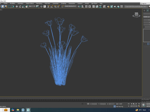 Tulipa - tulips White 3D 模型