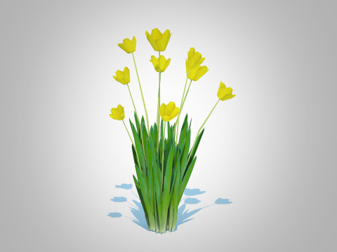 Tulipa - tulips Yellow 3D Model