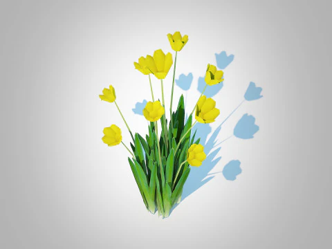 Tulipa - tulips Yellow 3D Model