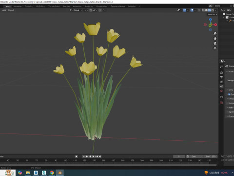 Tulipa - tulips Yellow 3D Model
