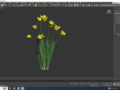 Tulipa - tulips Yellow 3D Model