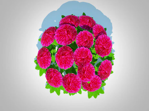 Paeonia x lact Felix Crousse 3D Model