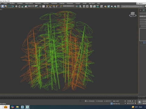 Paeonia x lact Felix Crousse 3D Model