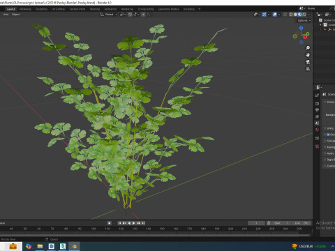 Parsley 3Dモデル