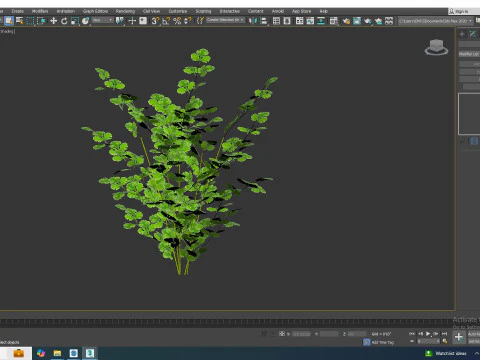 Peterselie 3D Model