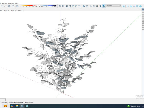 Parsley 3Dモデル