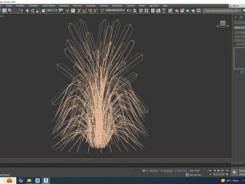 Pennisetum alopecuroides 3D Model