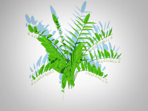 Polygonatum-Solomon Seal 3D Model