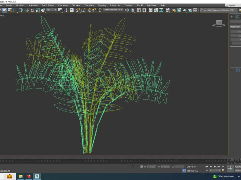 Polygonatum-Solomon Seal 3Dモデル
