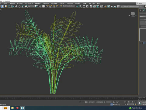Polygonatum-Solomon Seal 3D Model