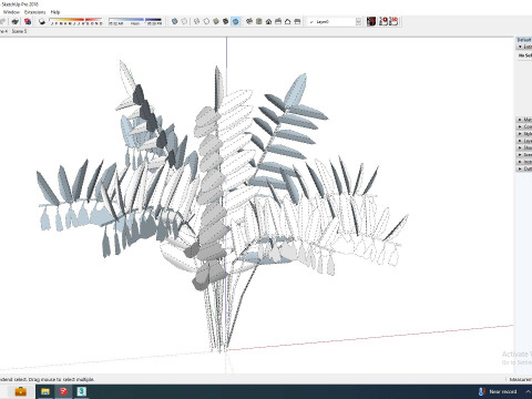 Polygonatum-Solomon Seal 3Dモデル