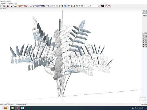 Polygonatum-Solomon Seal 3D Model