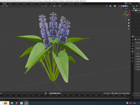 Pontederia cordata-pickeral rush 3Dモデル