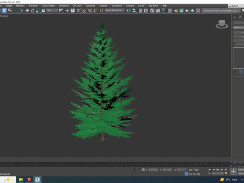 Abies Concolor - Silver Fir - Small Model 3D