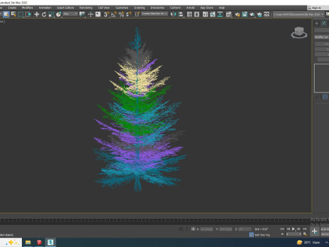 Abies Concolor - Silver Fir - Small Model 3D