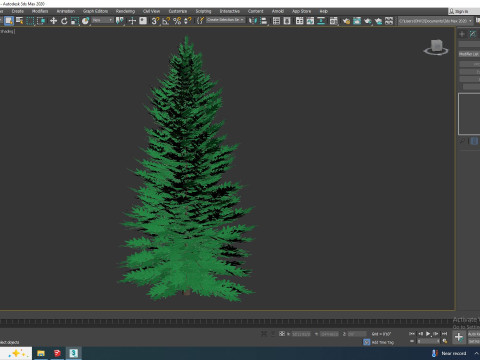 Abies Concolor - Silver Fir - Medium Modèle 3D