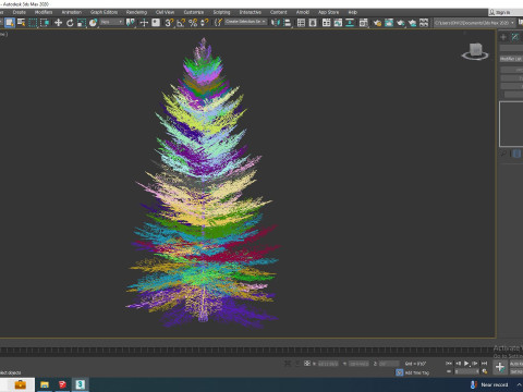 Abies Concolor - Silver Fir - Medium Modèle 3D