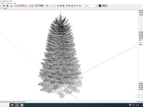 Abies Concolor - Silver Fir - Large 3D Model