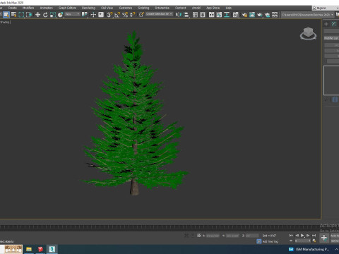 Abies fraseri- Fraser Fir -Small Model 3D