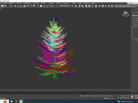Abies fraseri- Fraser Fir -Small Model 3D