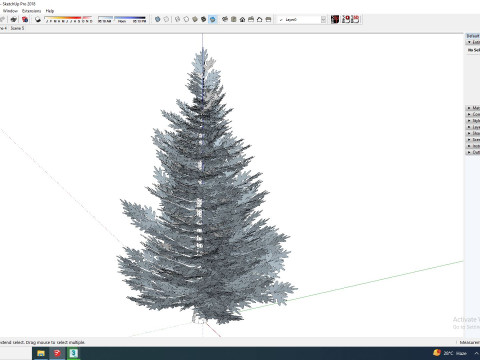 Abies fraseri- Fraser Fir -Small Model 3D