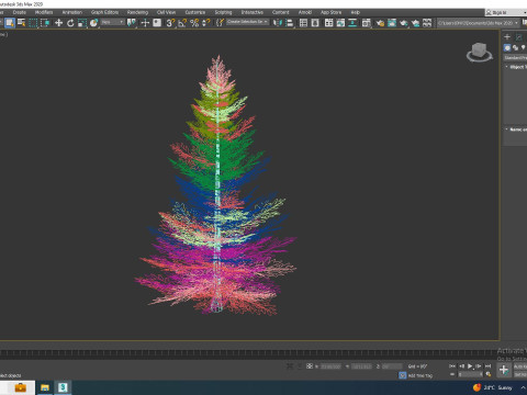 Abies fraseri- Fraser Fir -Medium 3D Model