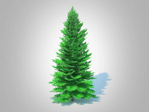 Abies fraseri- Fraser Fir -Large 3D Model