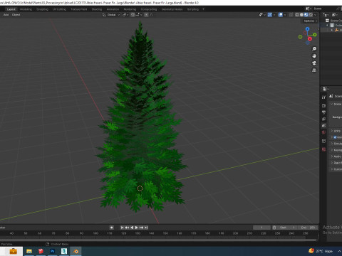 Abies fraseri- Fraser Fir -Large 3D 模型