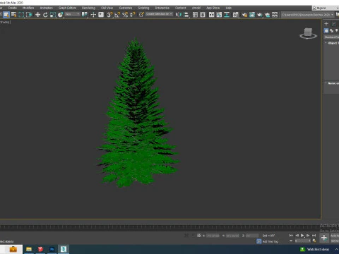 Abies fraseri- Fraser Fir -Large 3D Model