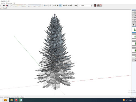 Abies fraseri- Fraser Fir -Large 3D 模型