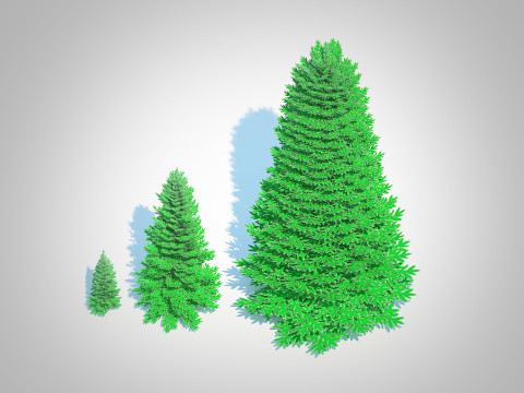Abies Concolor - Silver Fir 3D-Modell