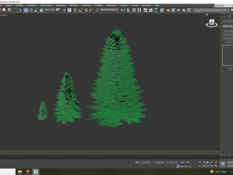 Abies Concolor - Silver Fir 3D-Modell