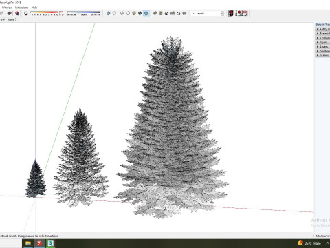 Abies Concolor - Silver Fir 3D-Modell