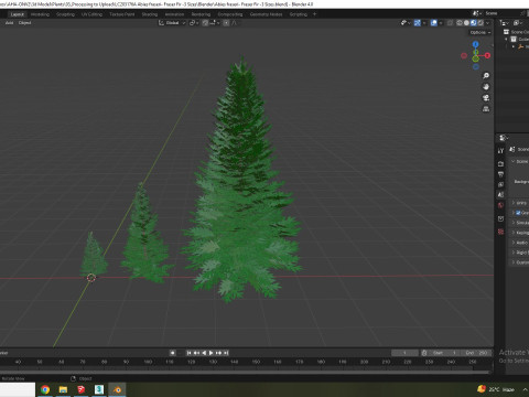 Abies fraseri- Fraser Fir 3Dモデル