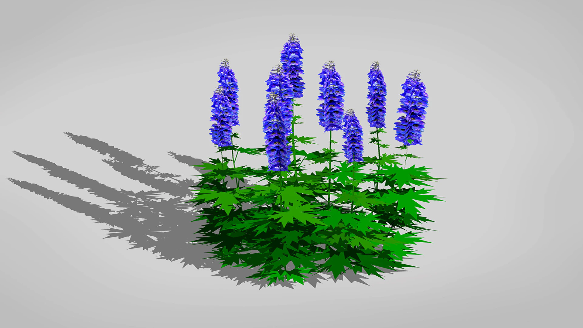 Delphinium 3D Model .c4d .max .obj .3ds .fbx .stl .blend