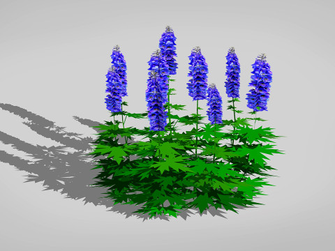 Delphinium Modelo 3D