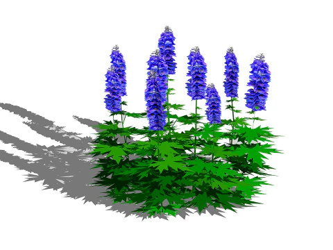 Delphinium 3D Model