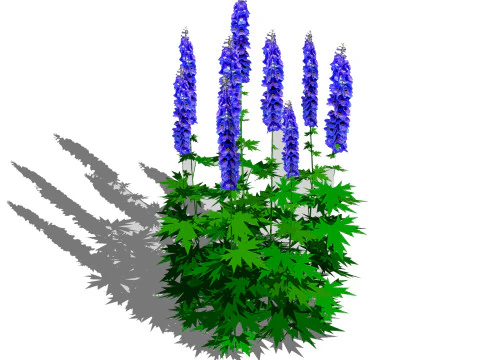 Delphinium 3D Model