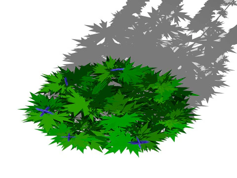 Delphinium 3D Model