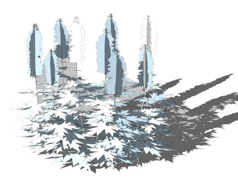 Delphinium Modelo 3D
