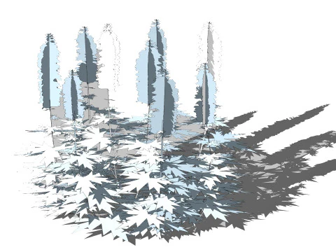 Delphinium 3D Model