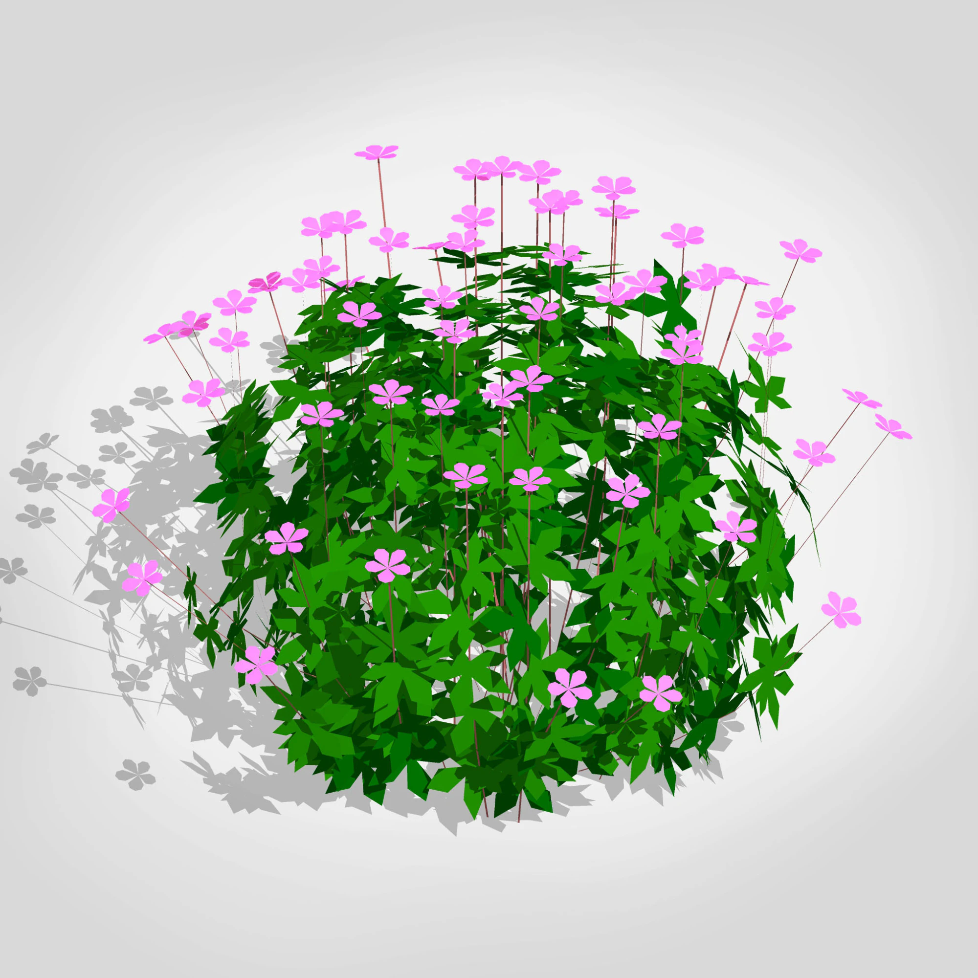 Geranium 3D Model .c4d .max .obj .3ds .fbx .stl .blend