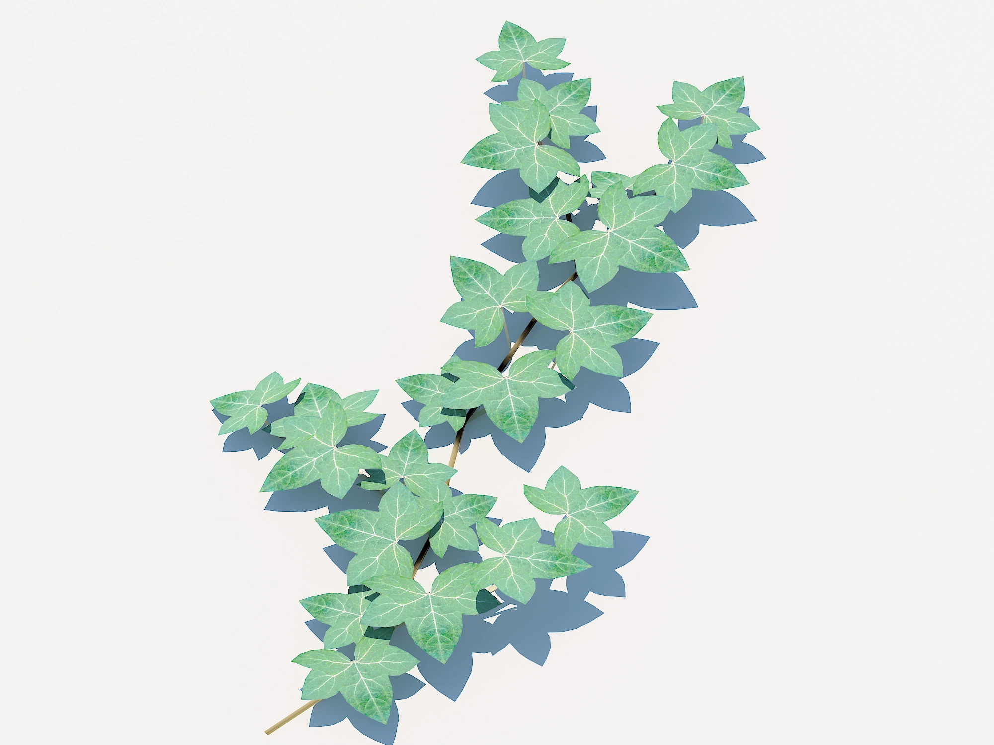 Hedera Helix - English Ivy-Vine 3D Model .c4d .max .obj .3ds .fbx .stl .blend 