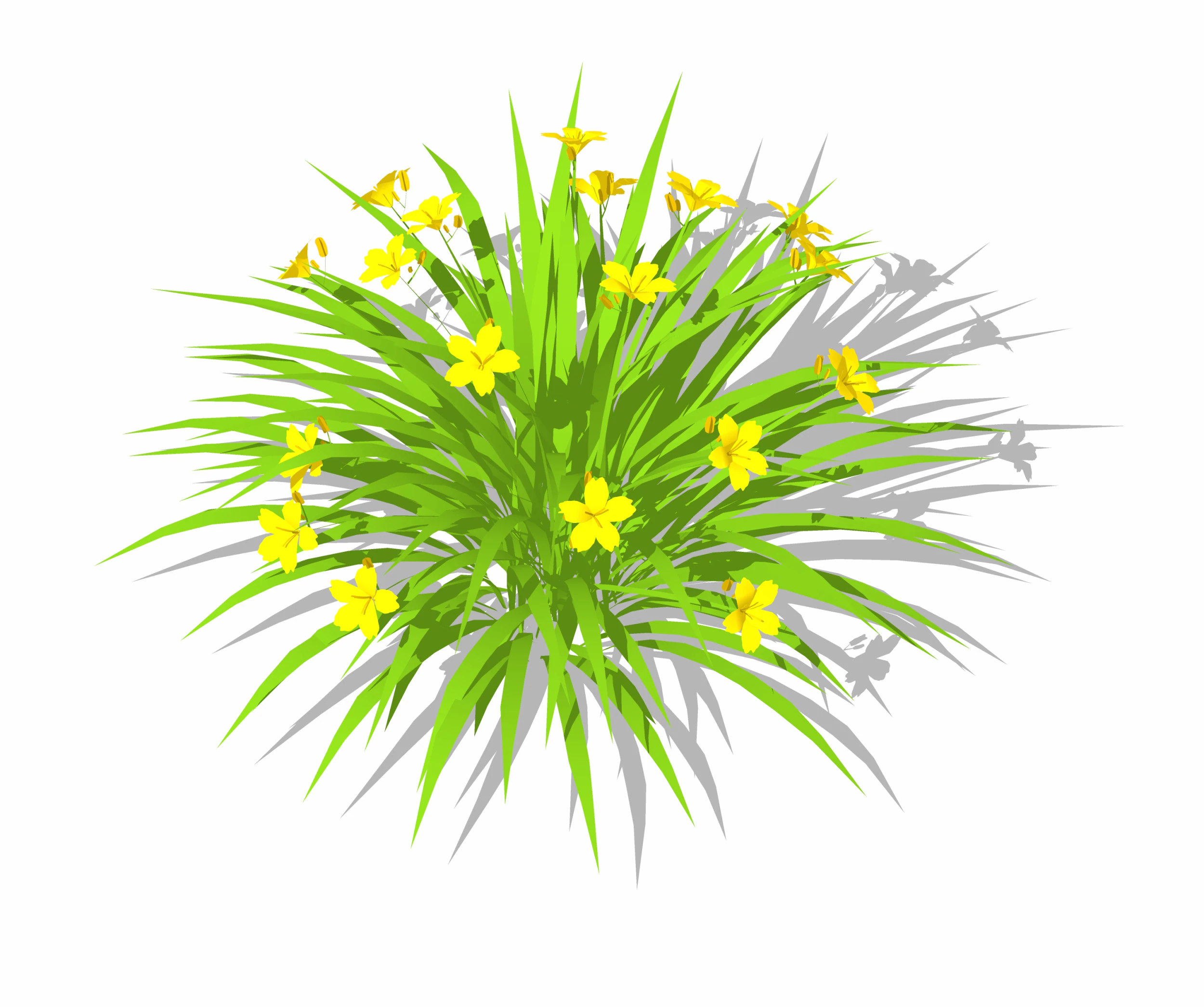 헤메로칼리스 3D 모델 .c4d .max .obj .3ds .fbx .stl .blend 